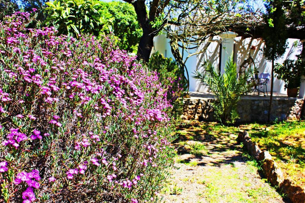 Agroturismo Can Fuster Sant Joan De Labritja Exteriör bild